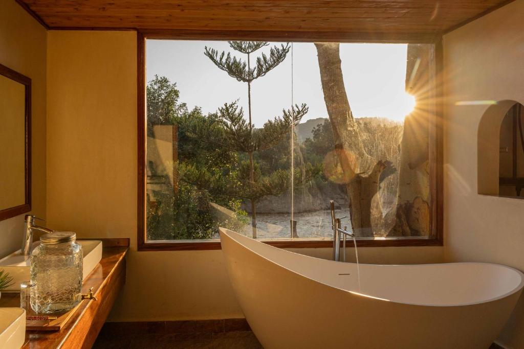 Royal Mara Safari Lodge image 4